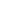 Icon Website Application